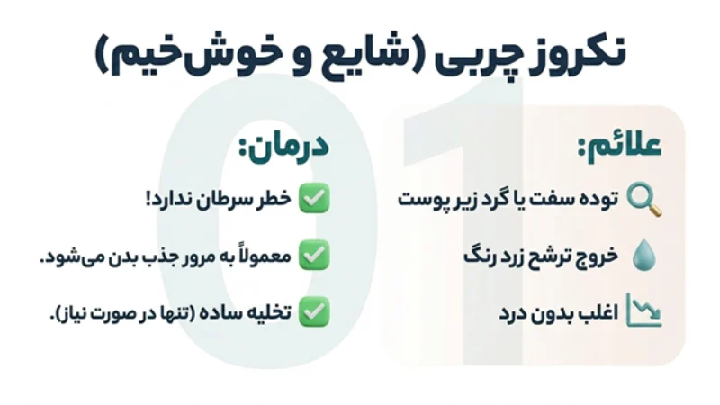 نکروز در ماموپلاستی